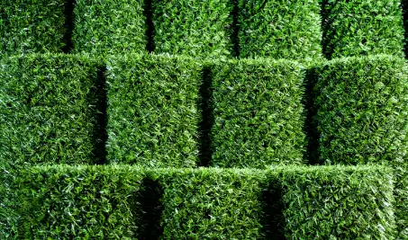 Нужен бесплатный расчет забора Grass Fence из искусственной травы в Всеволожске?
